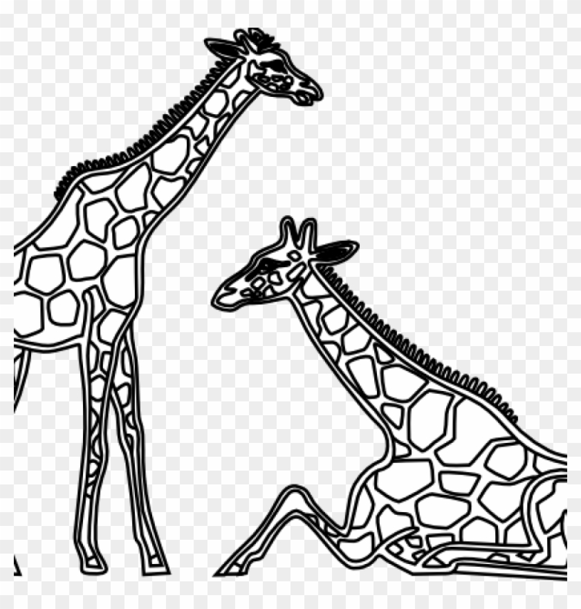 Giraffe Clipart Black And White Giraffe Clipart Black - Clip Art - Png Download #653014