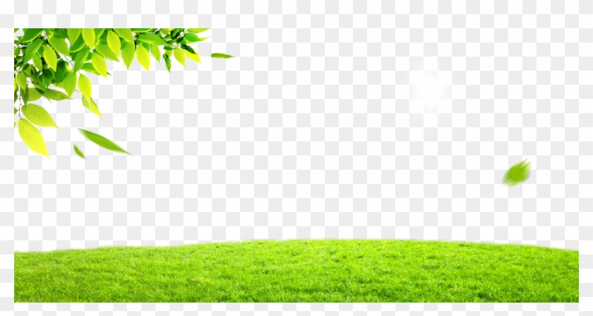 1030 X 500 5 - Grass Clipart