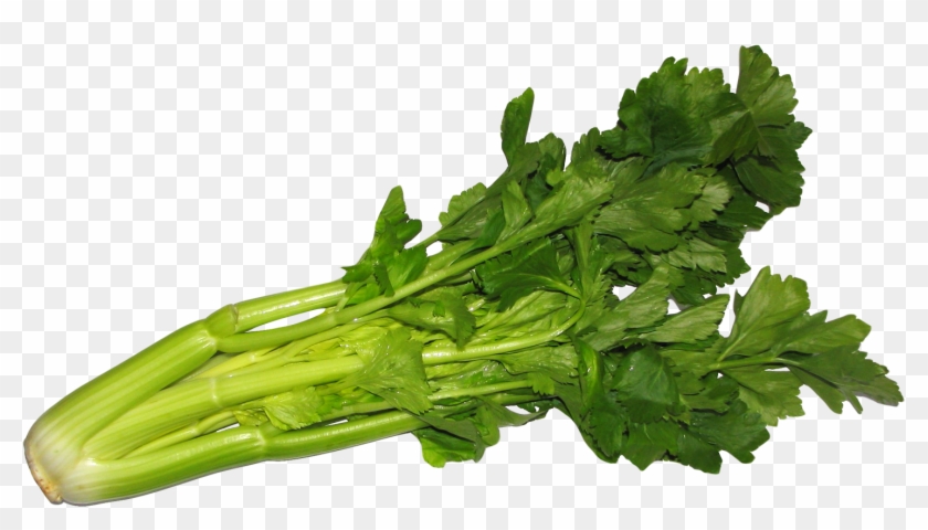 Free Png Celery Png Images Transparent - Sedano Clipart #654352