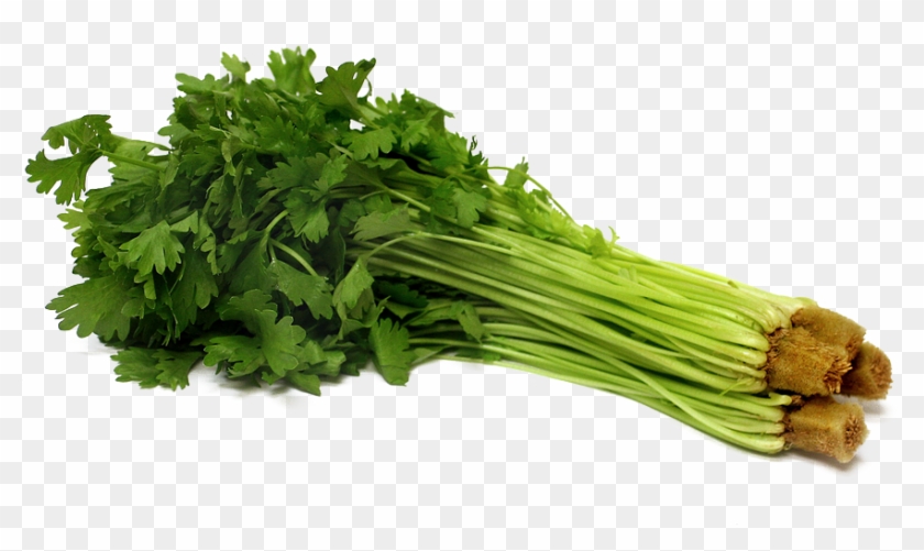 Celery Png Pic - Celery Png Clipart #654438