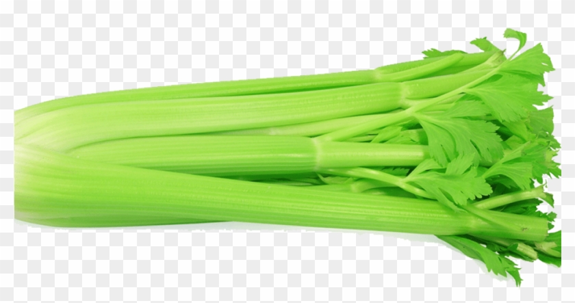 Celery - French Celery Clipart