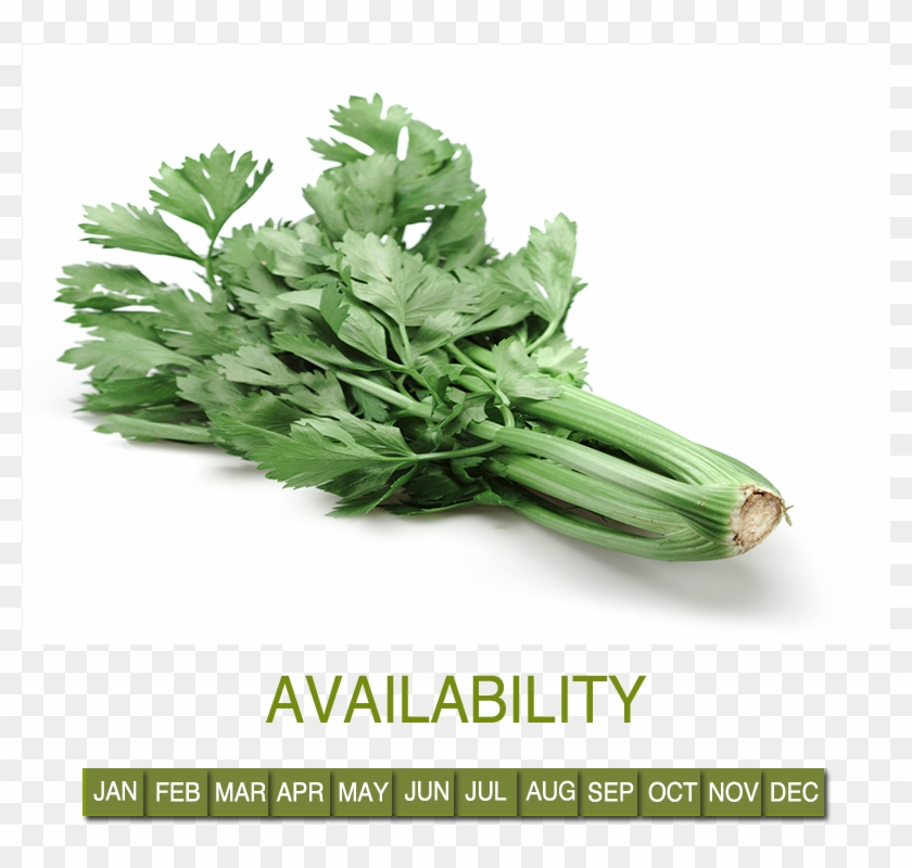 Request Information - Parsley Clipart #655109