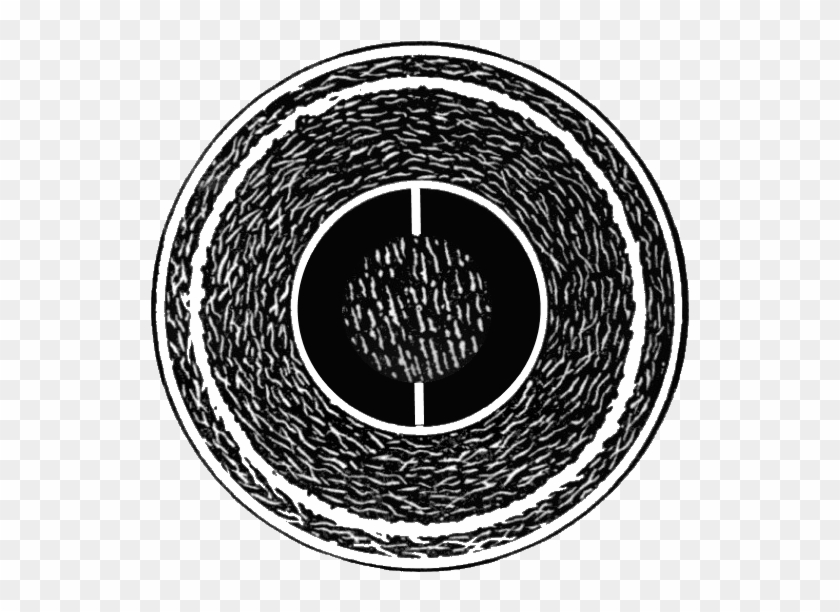 Cushioned Cork Center Baseball Schematic From Evolution - Circle Clipart #655840