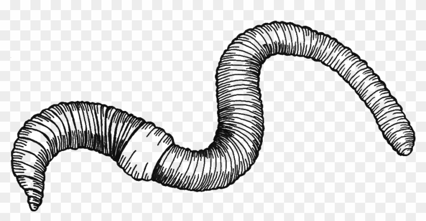 Ubisafe The Earthworm Project - Mealworm Clipart