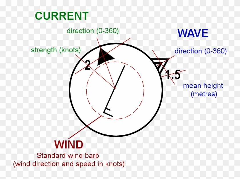 Worm Overview - Circle Outline Clipart