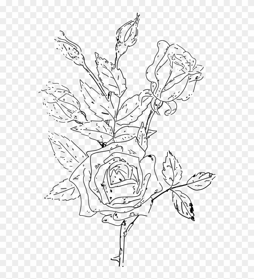 Victorian Rose Clipart Png Naatwh Clipart - Line Art Transparent Png