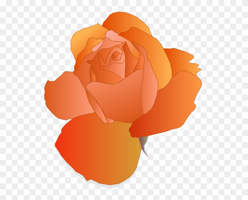 How To Set Use Orange Rose Icon Png Clipart