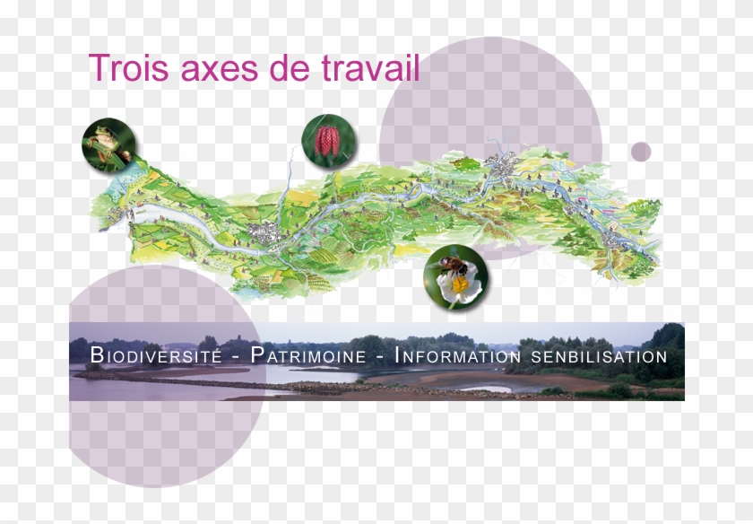 Fondloire4 - Graphic Design Clipart