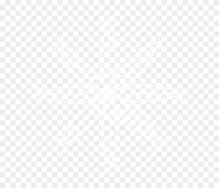 Star, Asterisk, Celebrities, Snowflake, Snow White - Johns Hopkins Logo White Clipart #661727