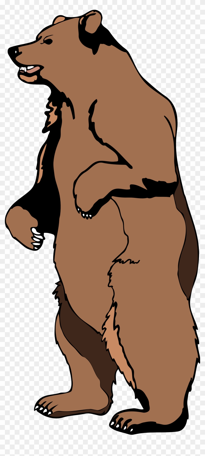 Clip Art Grizzly Bear - Standing Grizzly Bear Clipart - Png Download