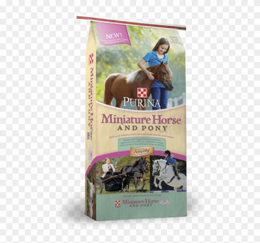 American Miniature Horse Clipart #663162
