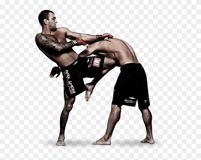 Mixed Martial Arts Fight Png Pic - Mixed Martial Arts Png Clipart #663357