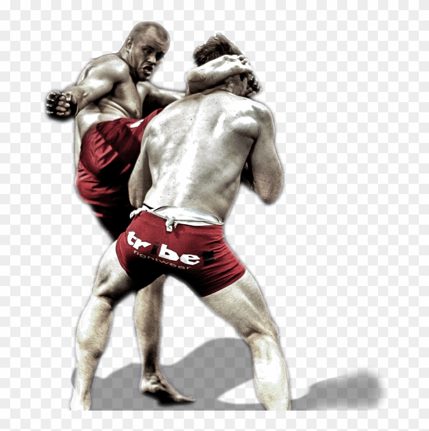 Mixed Martial Arts Fight Png Image - Mixed Martial Arts Transparent Clipart