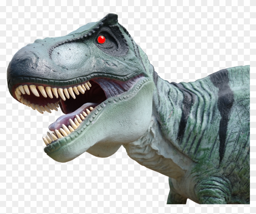 Because She Thought The Dragon Tooth Fairy Would Not - Cabeza Dinosaurio Png Clipart #664052