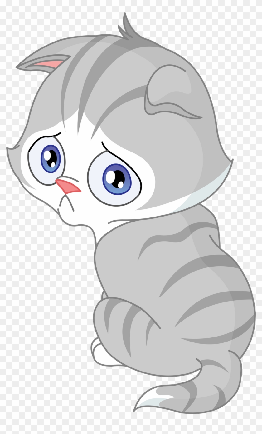 996 X 1600 10 - Sad Cat Clipart - Png Download #664149