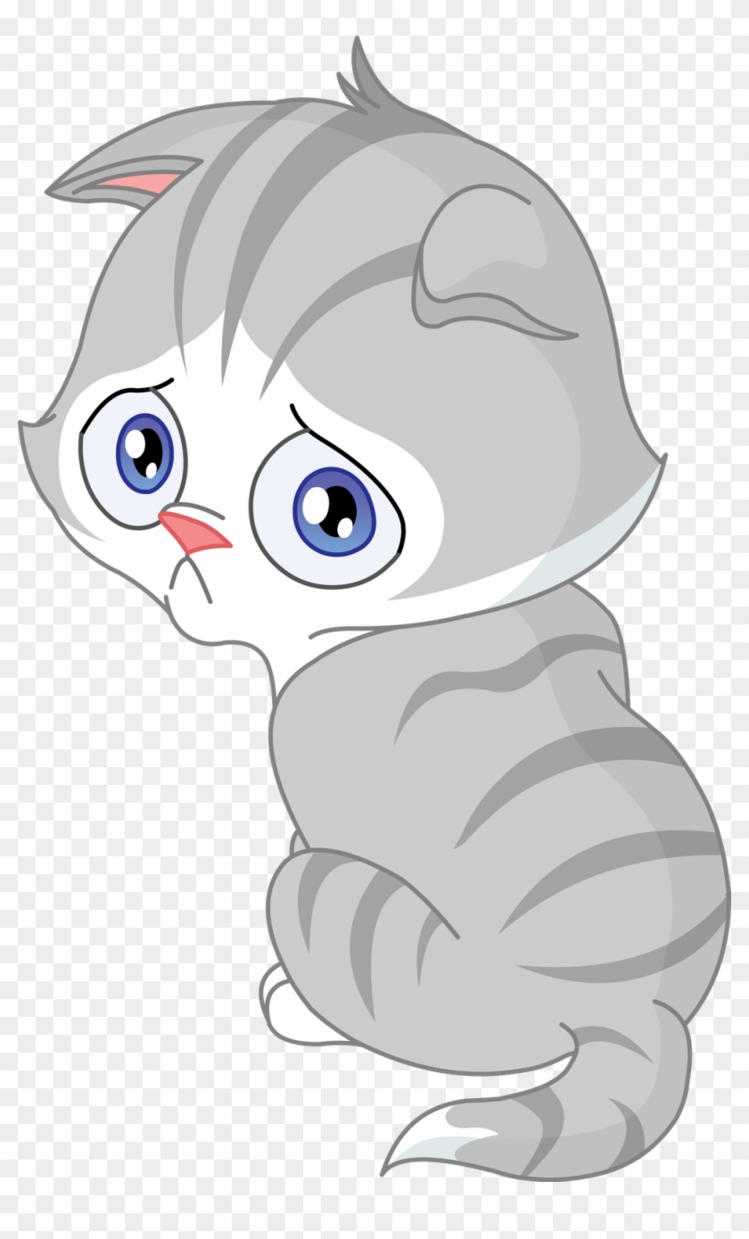 996 X 1600 10 - Sad Cat Clipart - Png Download