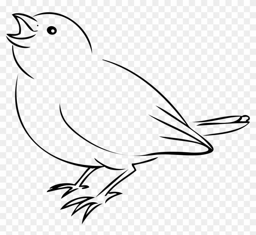 Sparrow Png Clipart (#666020) - PikPng