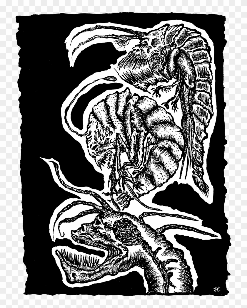 View Samegoogleiqdbsaucenao Inktober2017 4 Underwater Clipart #666238