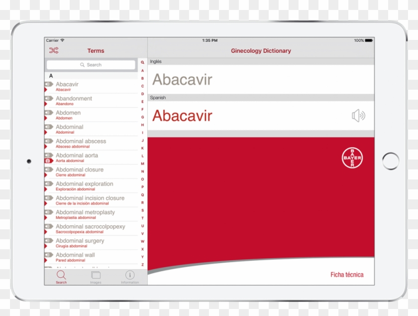 Bilingual Dictionary Bayer - Utility Software Clipart