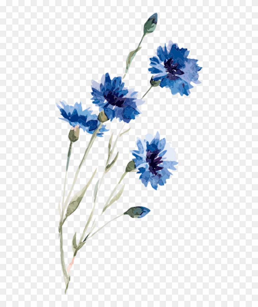 Free Png Download Watercolor Flower Drawing Blue Png - Png Watercolor Flowers Blue Clipart