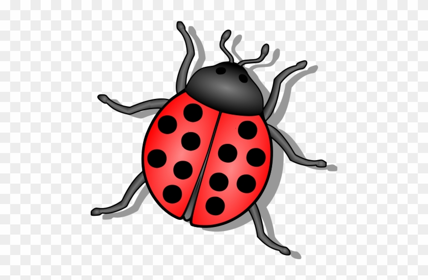 Bug Png Clipart #666722