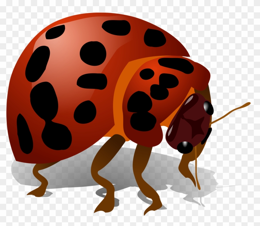 Beetle Bug Png - Bug Clip Art Transparent Png
