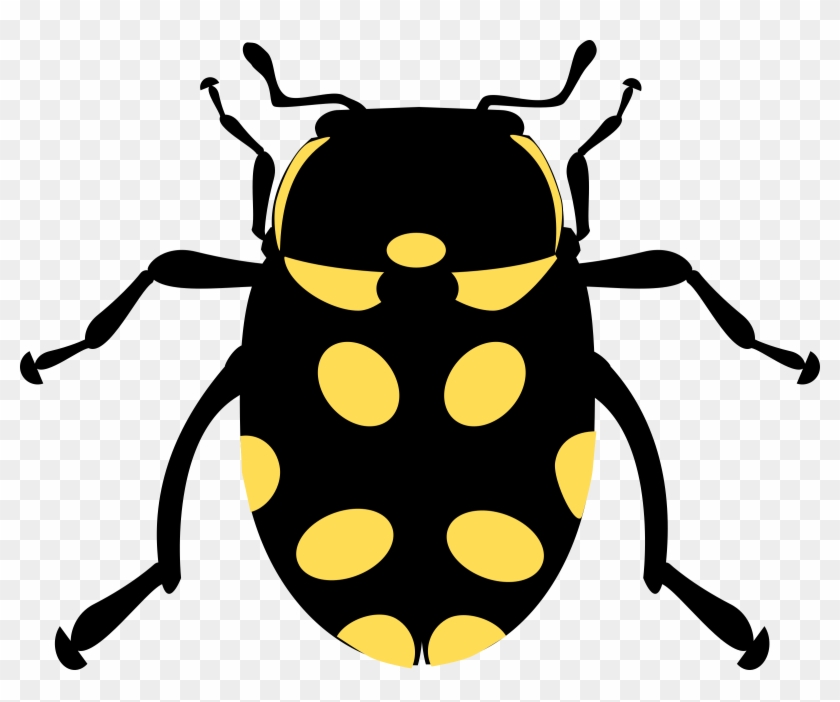 This Free Icons Png Design Of Eriopis Canrash Bug Clipart