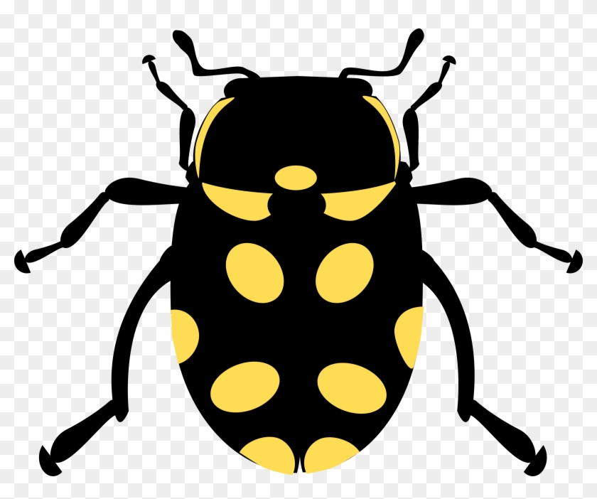 This Free Icons Png Design Of Eriopis Canrash Bug Clipart #667451