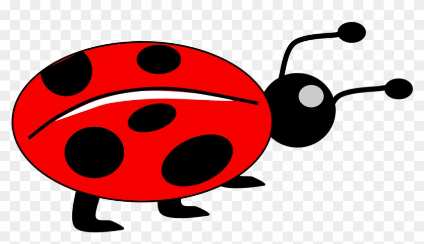 Red Bug Png - Bug Cartoon Clipart #667878