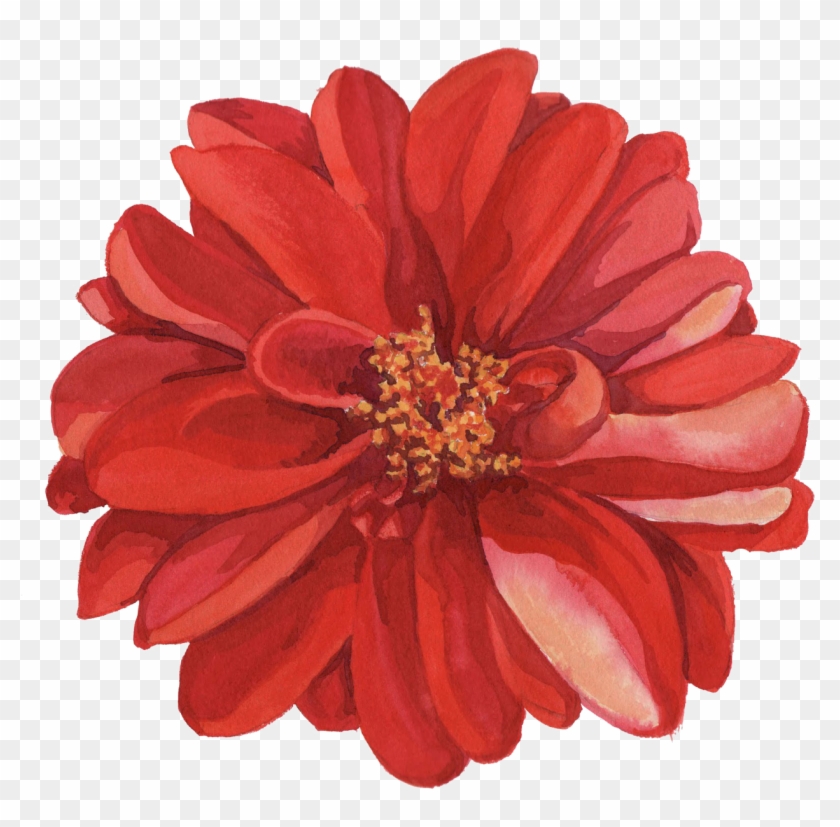 Photo Transparent Flowers, Button Flowers, Some Pictures, - Flower Drawings In Color Clipart