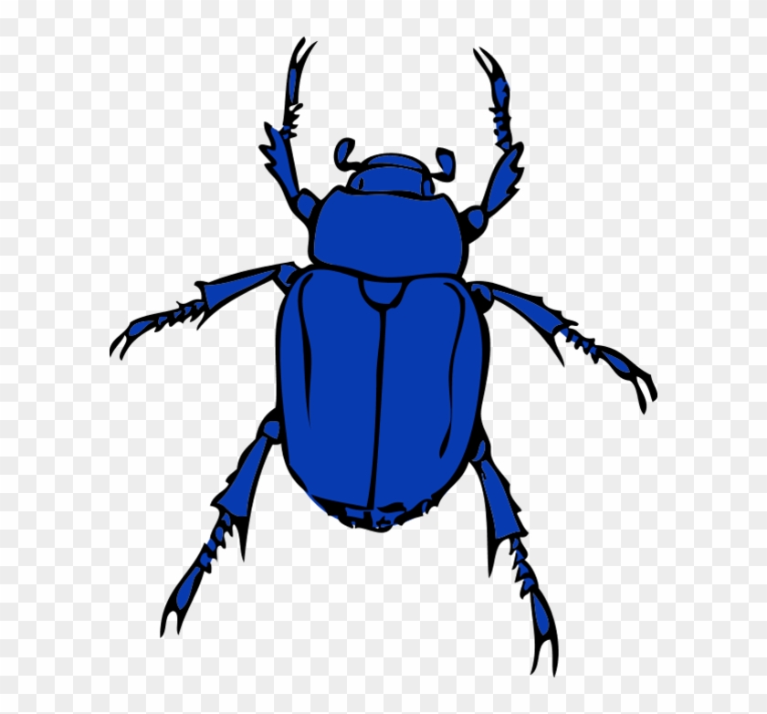 Bug Clipart Aphid - Beetle Clipart - Png Download #668773