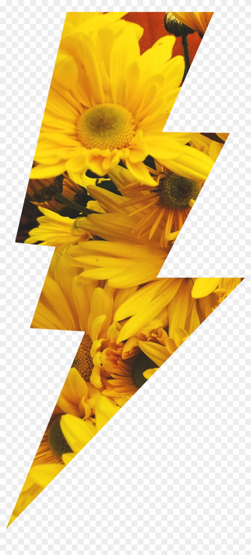 Sunflowers Sticker - Sunflower Clipart #670650