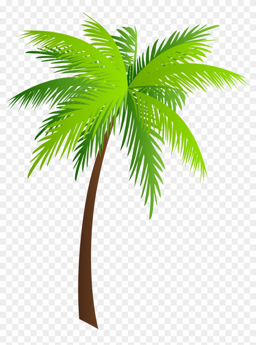 Palm Png Clip Art Image - Transparent Transparent Background Moana