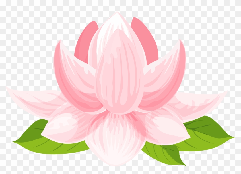 Sacred Lotus Clipart #671274