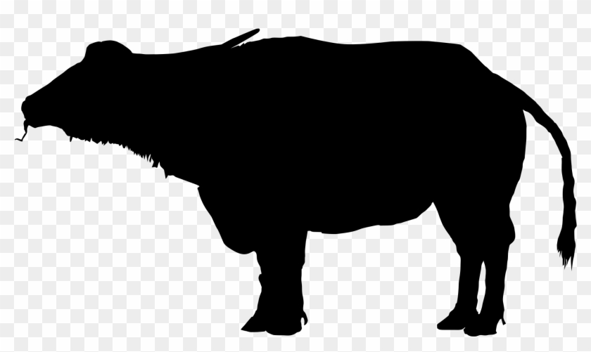 Water Buffalo Clipart Silhouette - Water Buffalo Silhouette - Png Download