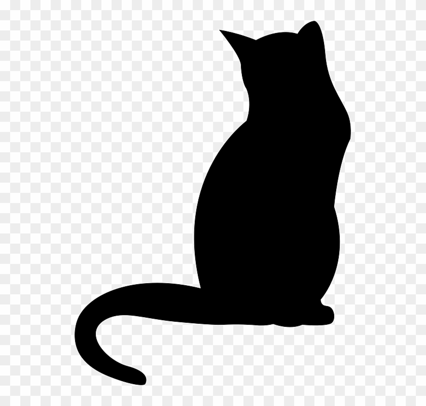 Free Images On Pixabay - Sombra De Un Gato Clipart #671846