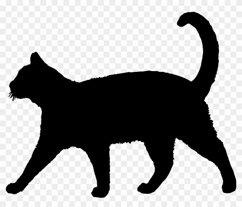Cat Silhouette - Graphics - White Background Black Cat Walking Clipart #672077