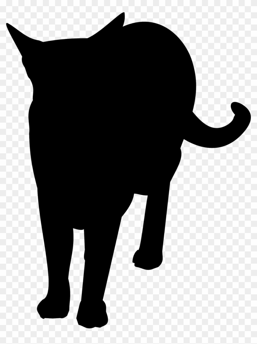 Free Cat Images - Elephant Clipart #672117