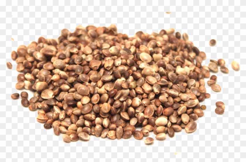 Hemp Seeds Png Picture - Buckwheat Groats Clipart