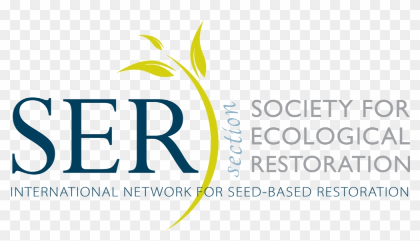 Graphic Design Clipart