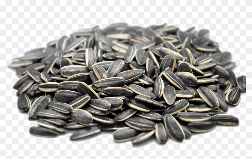 Download Png Image Report - Sunflower Seeds Calories Clipart