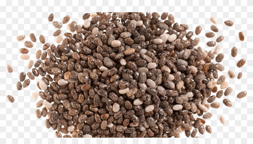 Why Are Chia Seeds Good For You - Chia Seed Clipart