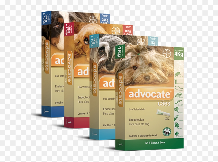 Bayer Dogs Advocate 21 Pip E Clipart