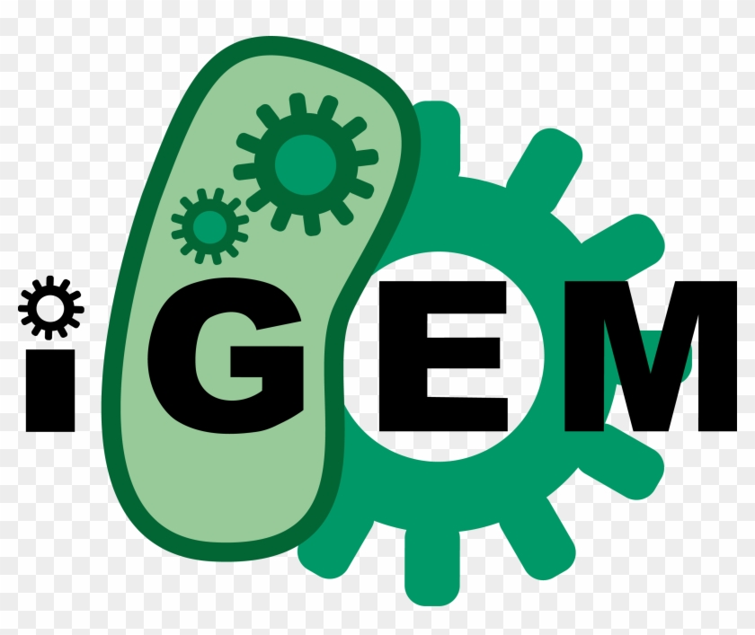 Igem - Igem 2018 Clipart #673542