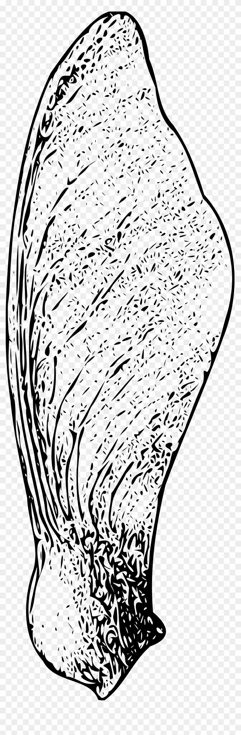 Maple Seed Black And White Clipart