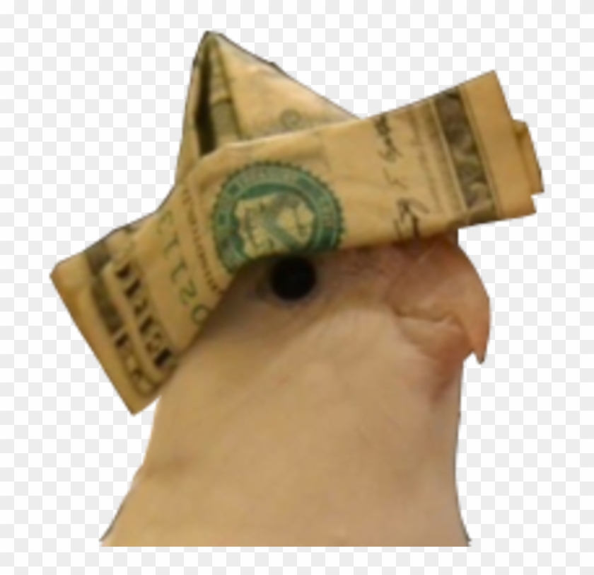 Dank Memes No Background Clipart