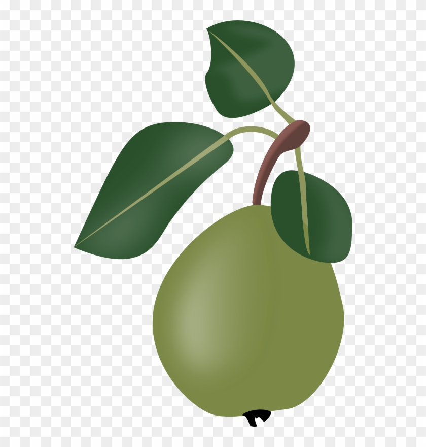 Medium Image - Clip Art - Png Download #674511