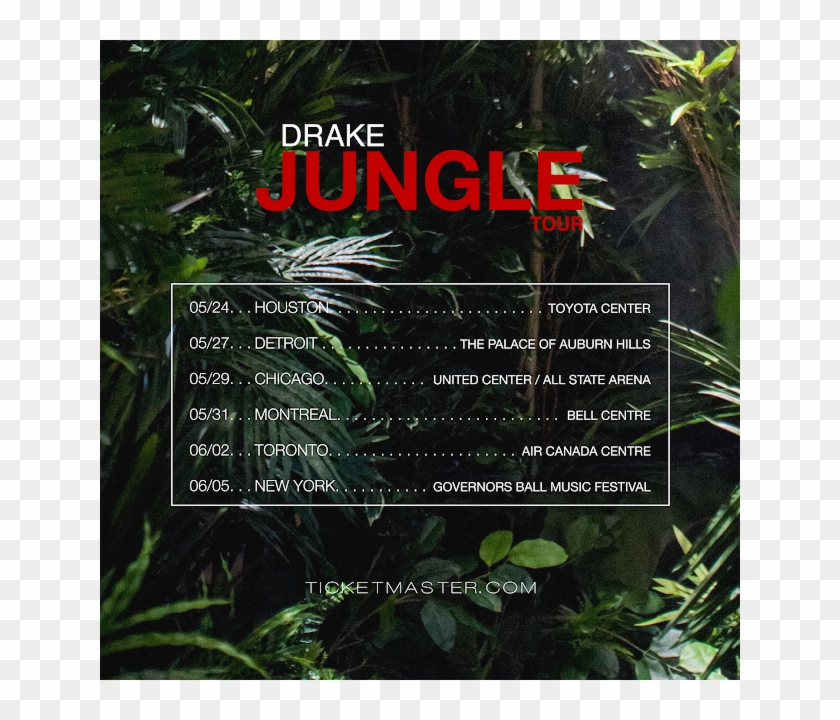 This New Tour Announcement From Drake Comes Just A - Jungle Tour Drake Clipart