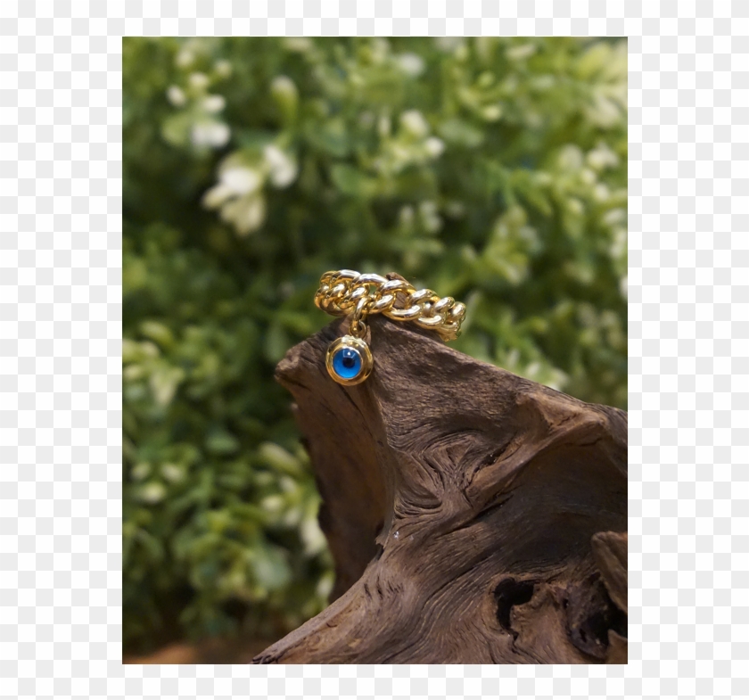 Nazar Boncuklu Zincir Yüzük - Wood Clipart