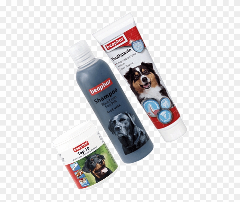 Deathly Hallows - Companion Dog Clipart